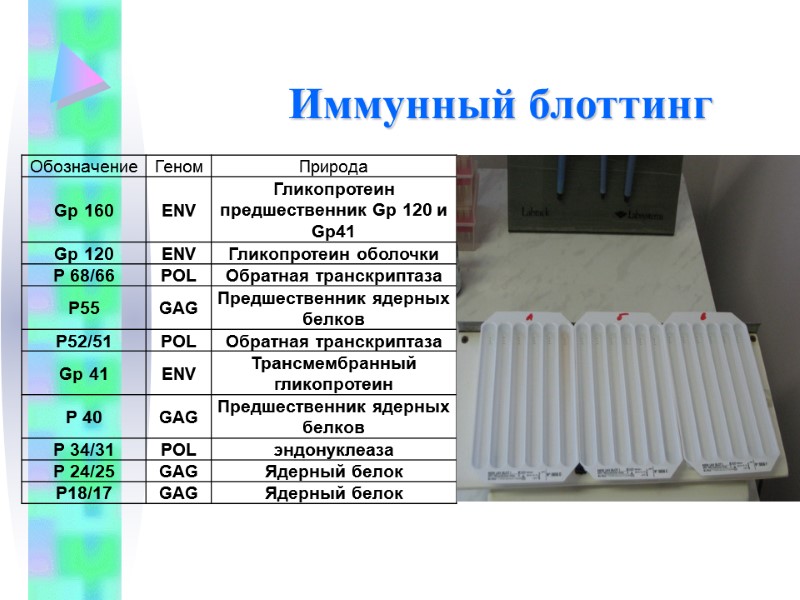 Иммунный блоттинг